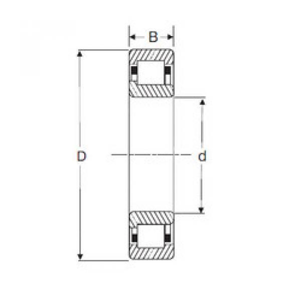 Bearing NJ 205 SIGMA #1 image