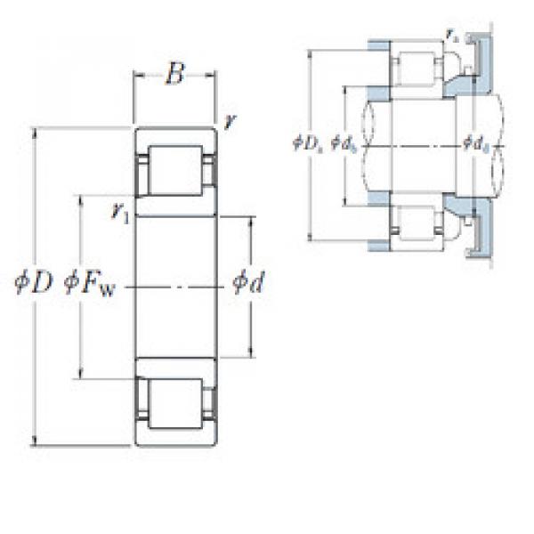 Bearing NJ 256 NSK #1 image