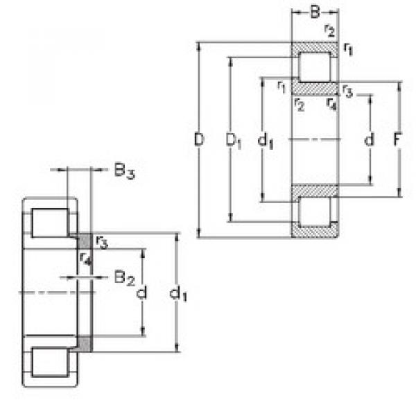 Bearing NJ219-E-MPA+HJ219-E NKE #1 image