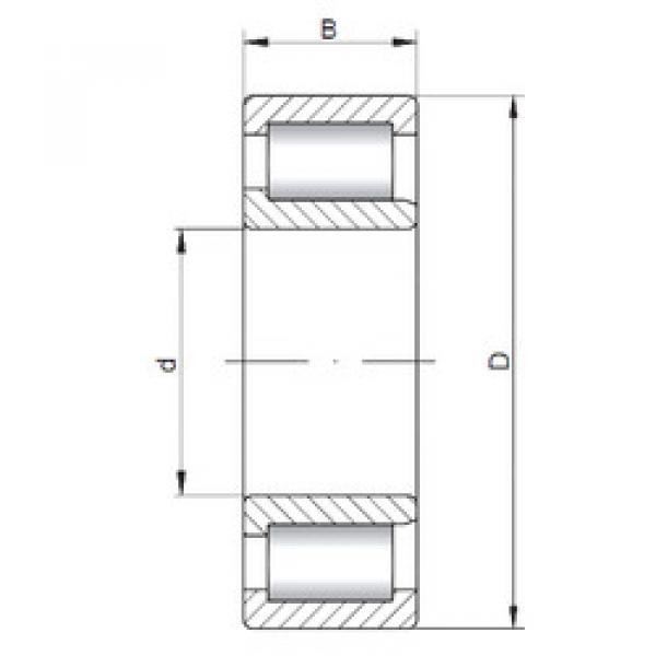 Bearing NJF2305 V ISO #1 image