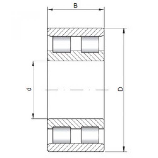 Bearing NN3064 ISO #1 image