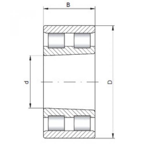 Bearing NN3006 K CX #1 image