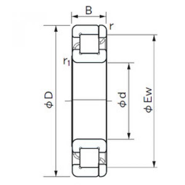 Bearing NP 1005 NACHI #1 image