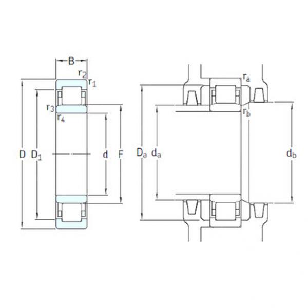 Bearing NU1009ECP/HC5C3 SKF #1 image