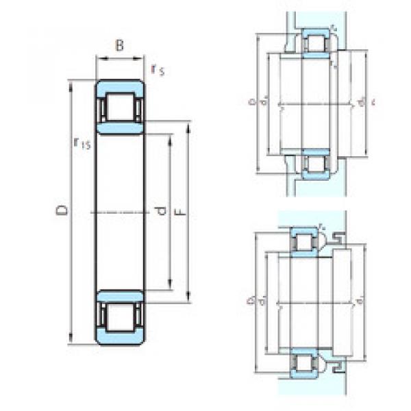 Bearing NU1060 PSL #1 image