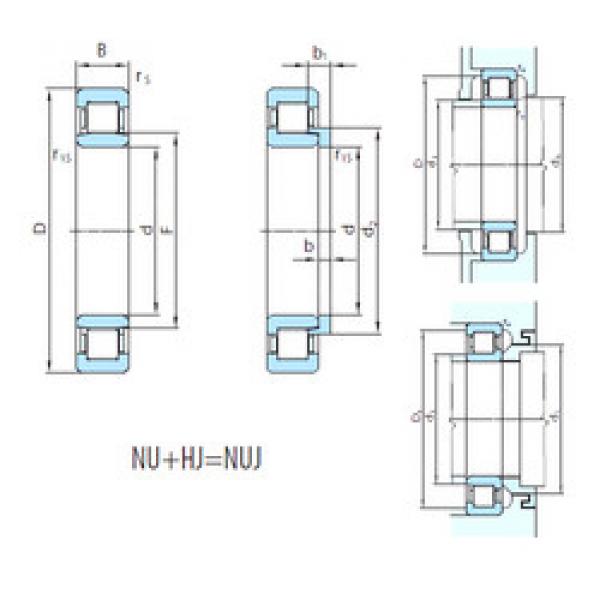 Bearing NUJ1060 PSL #1 image