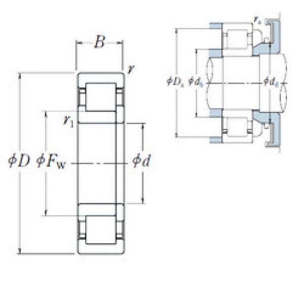 Bearing NUP 205 EW NSK #1 image