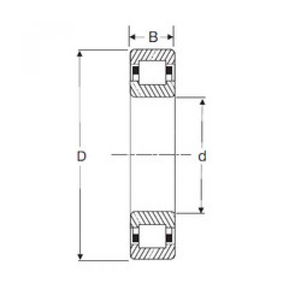 Bearing NUP 205 SIGMA #1 image