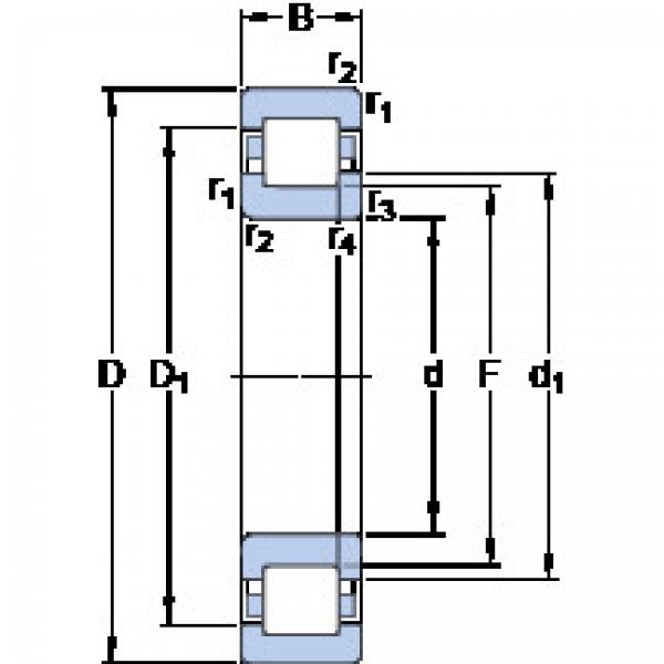 Bearing NUP 1864 ECMP SKF #1 image