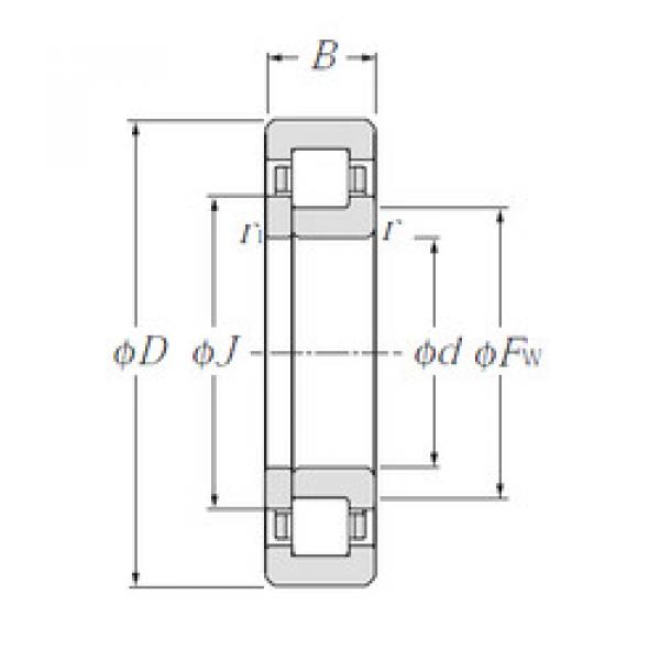 Bearing NUP1005 NTN #1 image