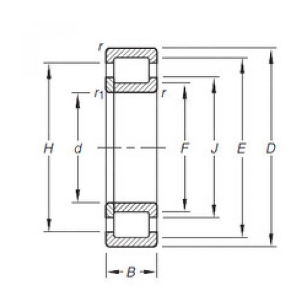 Bearing NUP305E.TVP Timken #1 image