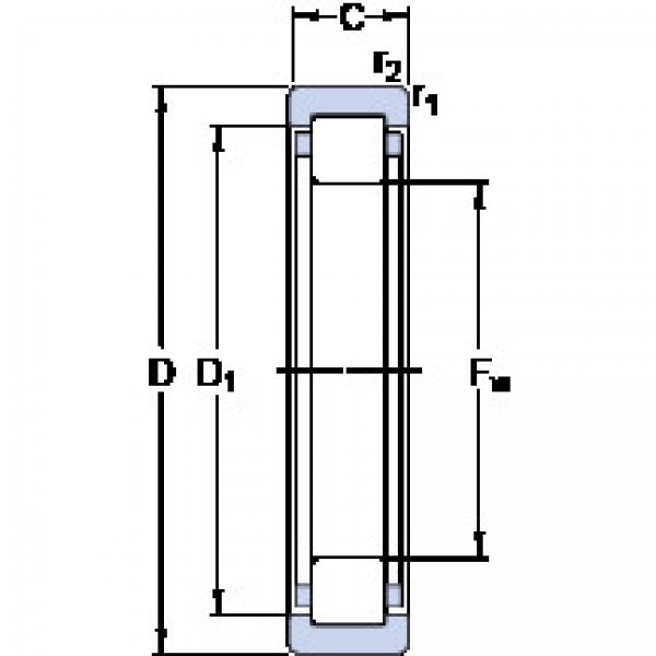 Bearing RNU 211 ECJ SKF #1 image