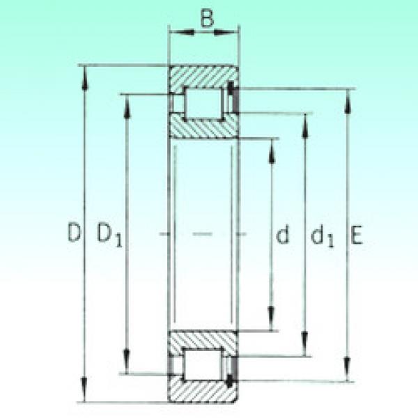 Bearing SL182222 NBS #1 image