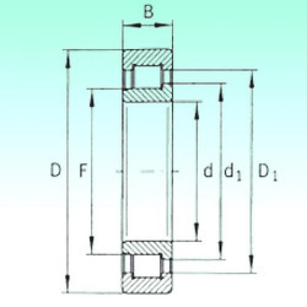 Bearing SL192305 NBS #1 image