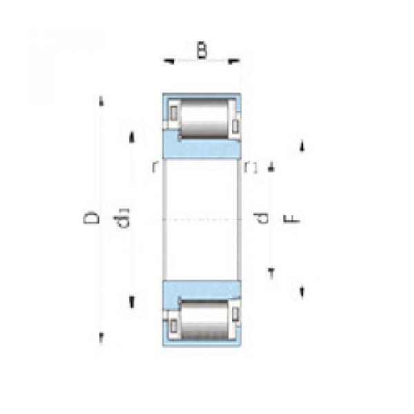 Bearing F-218473 INA #1 image