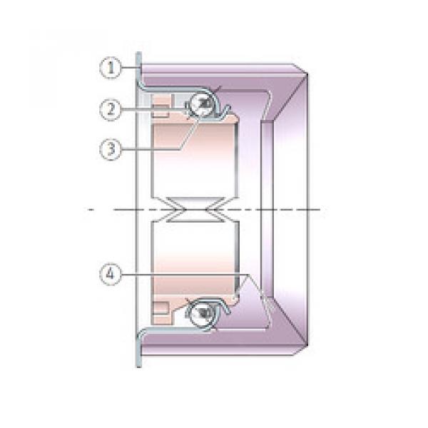 Bearing F-205879.3 INA #1 image