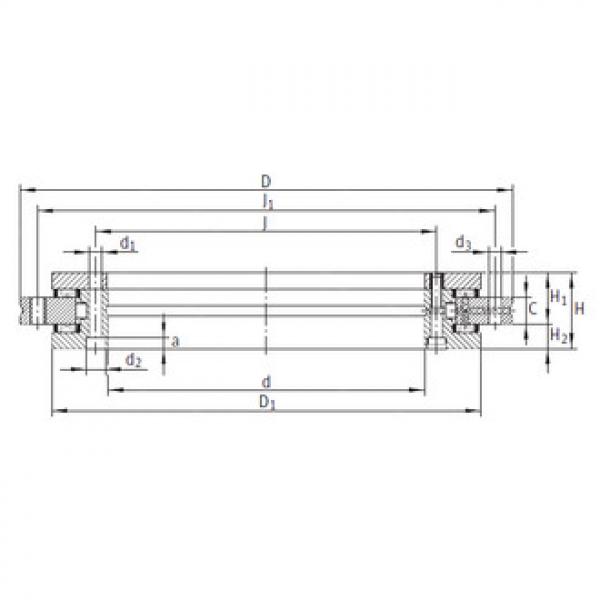 Bearing YRT120 INA #1 image