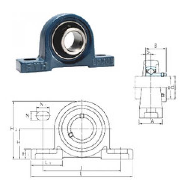 Bearing BLP206-18 FYH #1 image