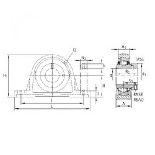 Bearing RASE120 INA #1 image