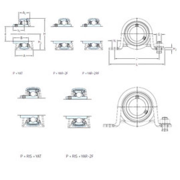 Bearing P 1.1/4 TF SKF #1 image