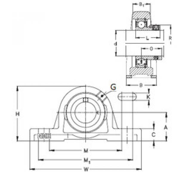 Bearing RASE45 NKE #1 image