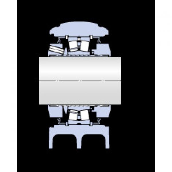 Bearing SYNT 100 FTF SKF #1 image