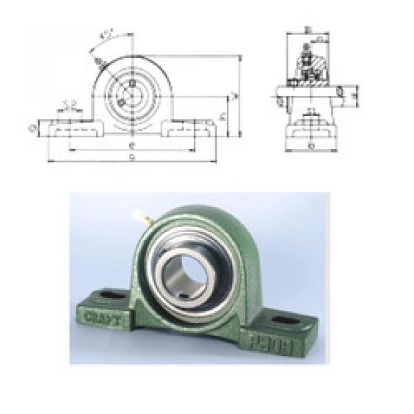 Bearing UCP305 CRAFT #1 image