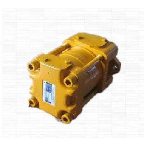 SUMITOMO origin Japan SPRG-03-250-13 SD Series Gear Pump #1 image